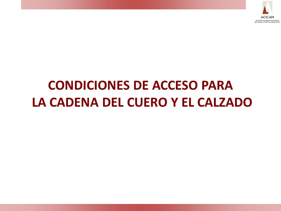 CONDICIONES DE ACCESO PARA LA CADENA DEL CUERO Y EL CALZADO