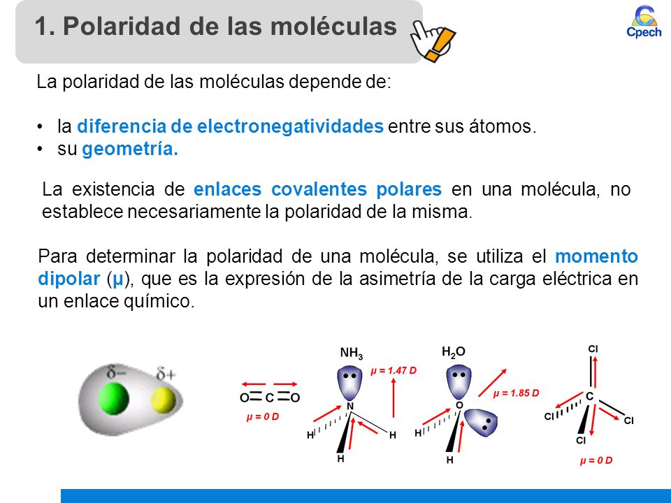 Polaridad de las moléculas y fuerzas intermoleculares - ppt video online  descargar