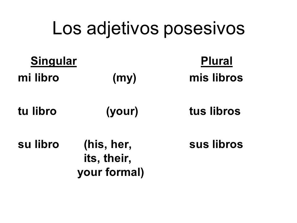 Los adjetivos posesivos