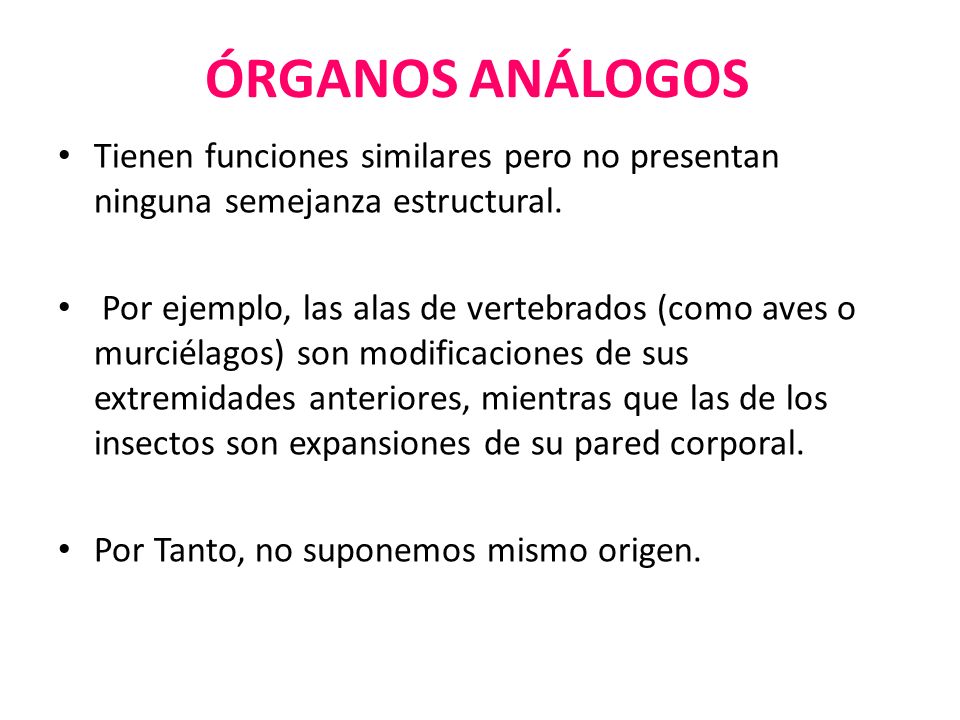 ÓRGANOS ANÁLOGOS Tienen funciones similares pero no presentan ninguna semejanza estructural.