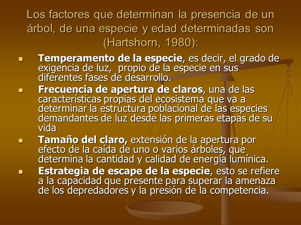 Los factores que determinan la presencia de un árbol, de una especie y edad determinadas son (Hartshorn, 1980):