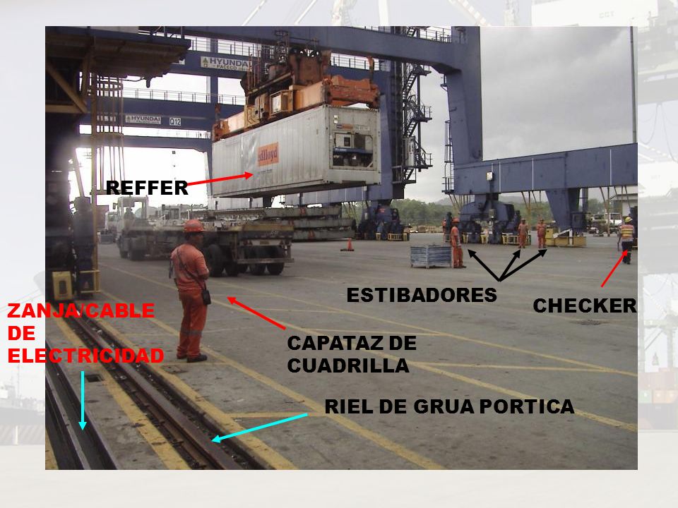 REFFER ESTIBADORES CHECKER ZANJA/CABLE DE ELECTRICIDAD CAPATAZ DE CUADRILLA RIEL DE GRUA PORTICA