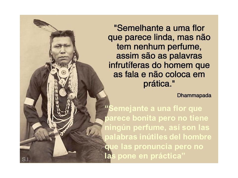 Semejante a una flor que parece bonita pero no tiene ningún perfume, así son las palabras inútiles del hombre que las pronuncia pero no las pone en práctica