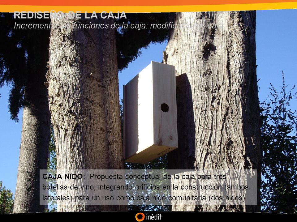 REDISEÑO DE LA CAJA Incrementar las funciones de la caja: modificaciones caja.