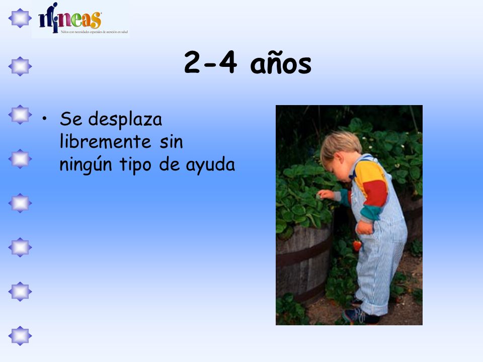 2-4 años Se desplaza libremente sin ningún tipo de ayuda