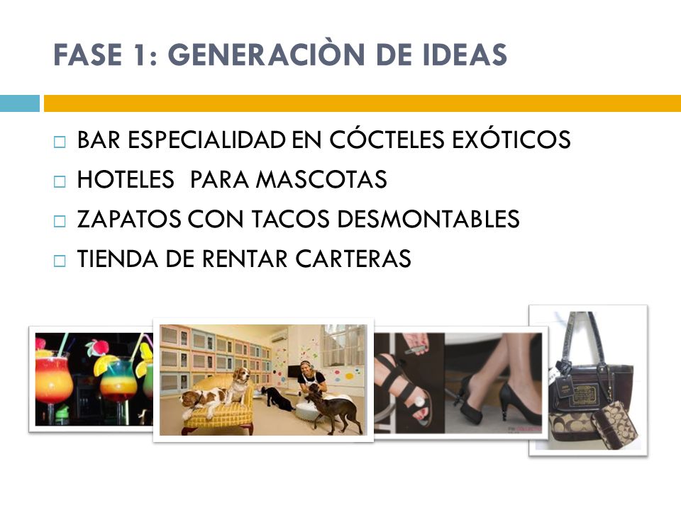 FASE 1: GENERACIÒN DE IDEAS