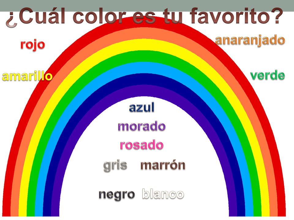 ¿Cuál color es tu favorito