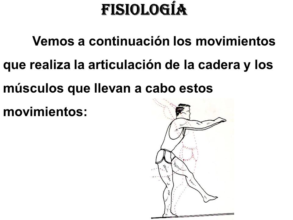 fisiología que realiza la articulación de la cadera y los