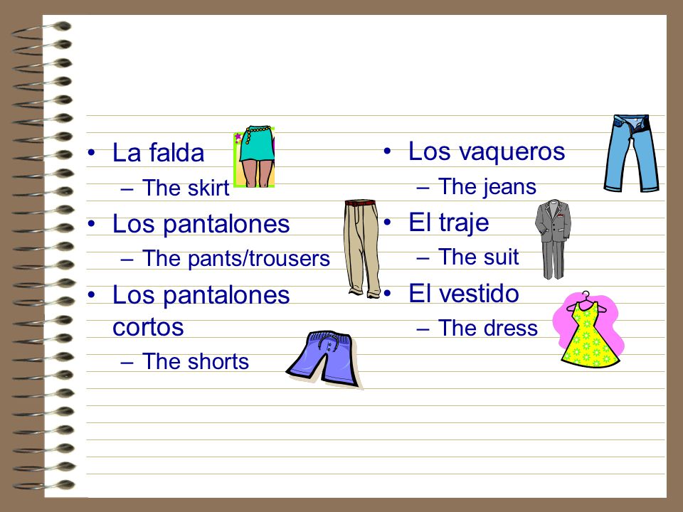 La falda Los vaqueros Los pantalones El traje Los pantalones cortos