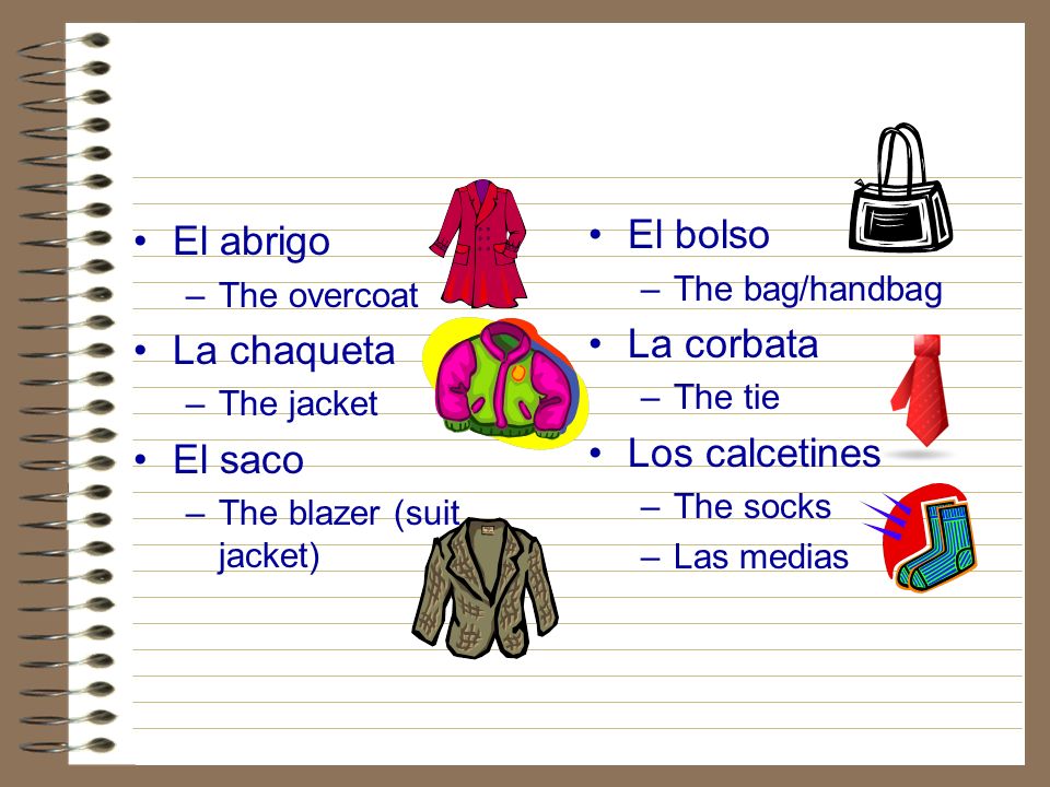 El bolso El abrigo La corbata La chaqueta Los calcetines El saco