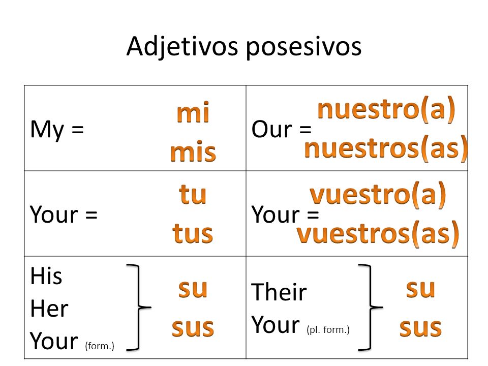 nuestro(a) nuestros(as) mi mis tu tus vuestro(a) vuestros(as) su sus