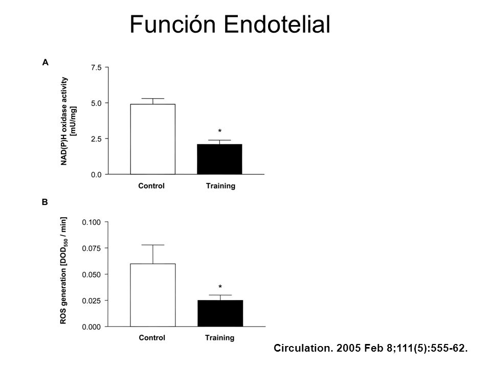 Función Endotelial Circulation Feb 8;111(5):