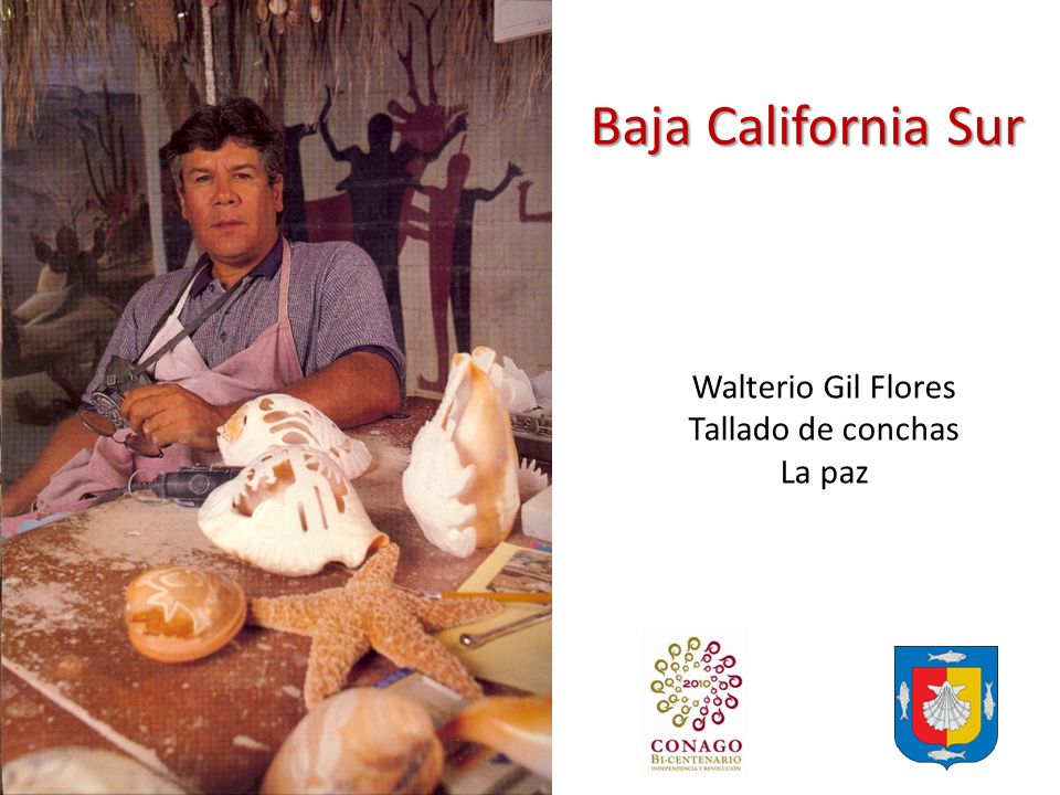 Baja California Sur Walterio Gil Flores Tallado de conchas La paz