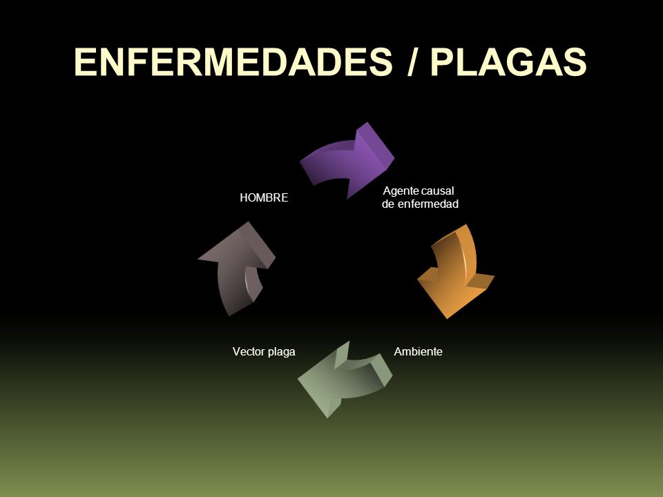 ENFERMEDADES / PLAGAS