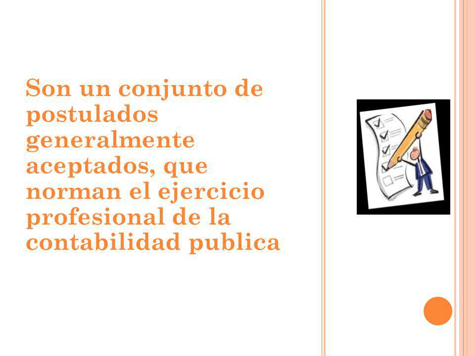 Son un conjunto de postulados generalmente aceptados, que norman el ejercicio profesional de la contabilidad publica