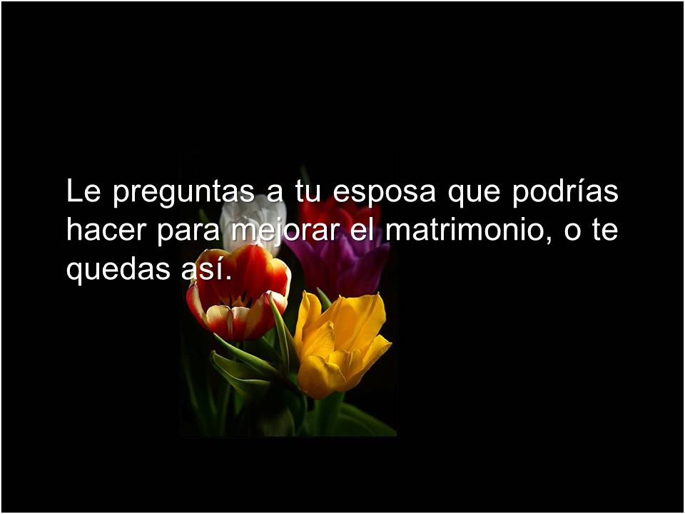 Le preguntas a tu esposa que podrías hacer para mejorar el matrimonio, o te quedas así.
