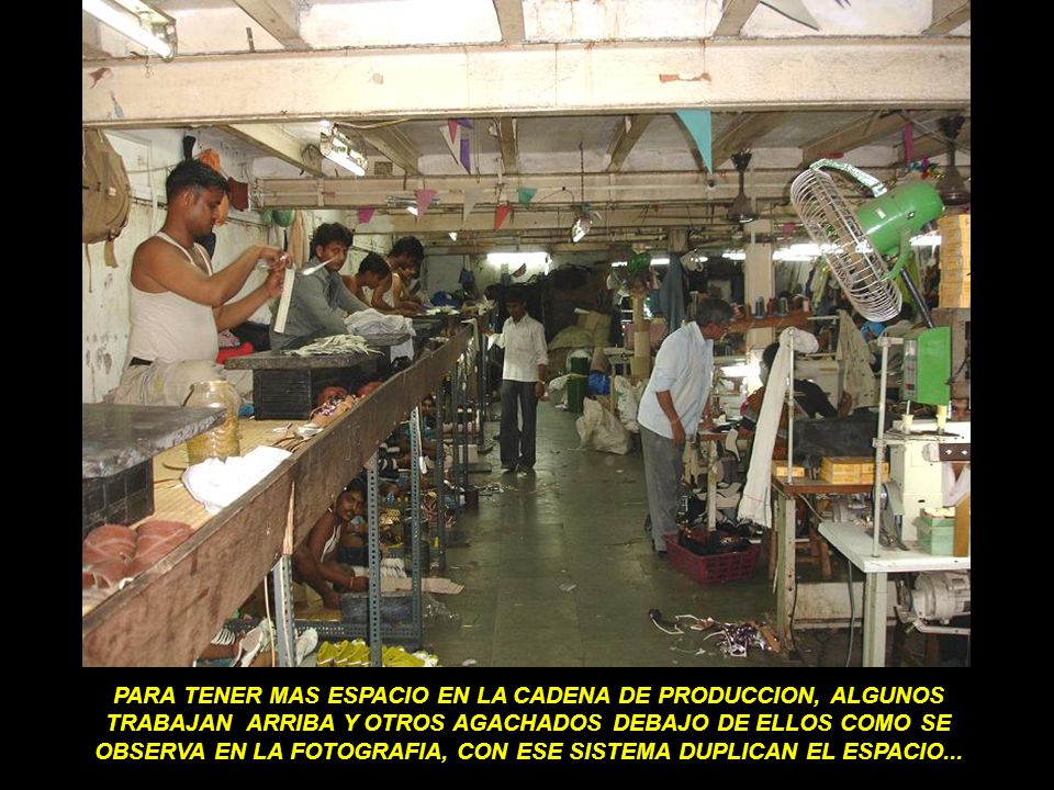 PARA TENER MAS ESPACIO EN LA CADENA DE PRODUCCION, ALGUNOS TRABAJAN ARRIBA Y OTROS AGACHADOS DEBAJO DE ELLOS COMO SE OBSERVA EN LA FOTOGRAFIA, CON ESE SISTEMA DUPLICAN EL ESPACIO...