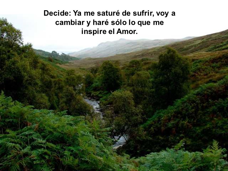 Decide: Ya me saturé de sufrir, voy a cambiar y haré sólo lo que me inspire el Amor.