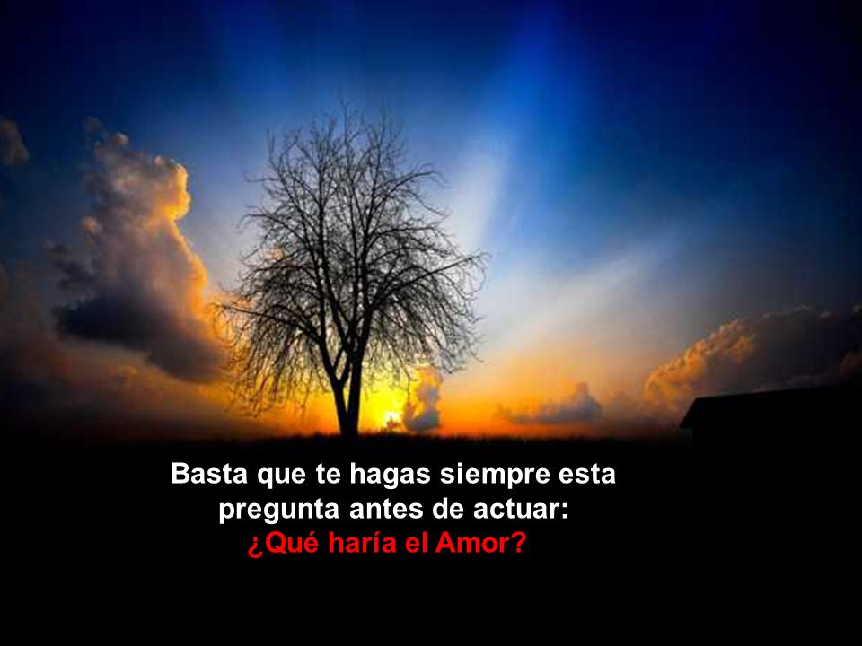 Basta que te hagas siempre esta pregunta antes de actuar:
