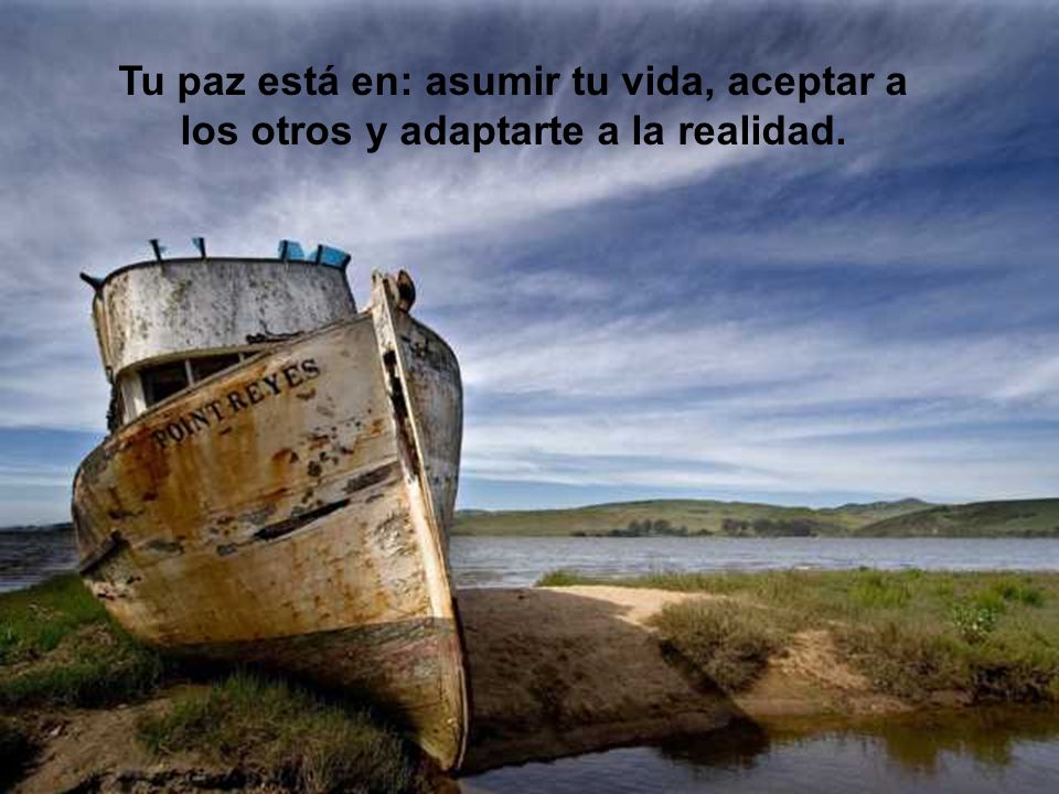 Tu paz está en: asumir tu vida, aceptar a los otros y adaptarte a la realidad.