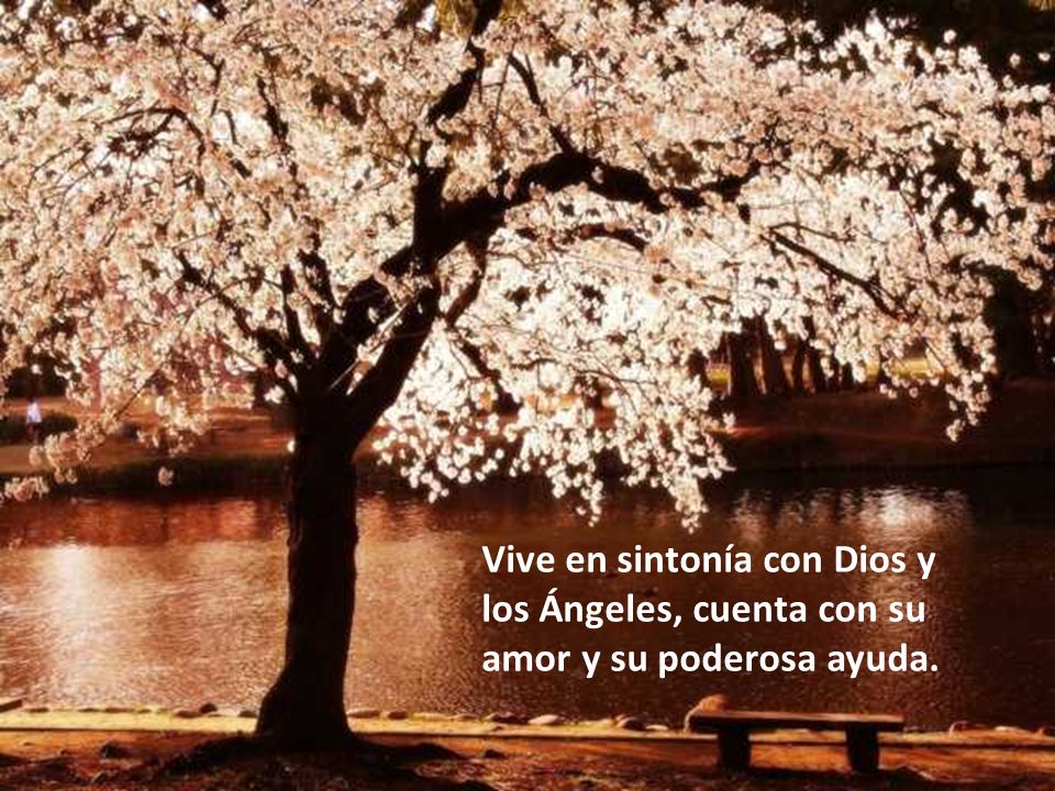 Vive en sintonía con Dios y los Ángeles, cuenta con su amor y su poderosa ayuda.