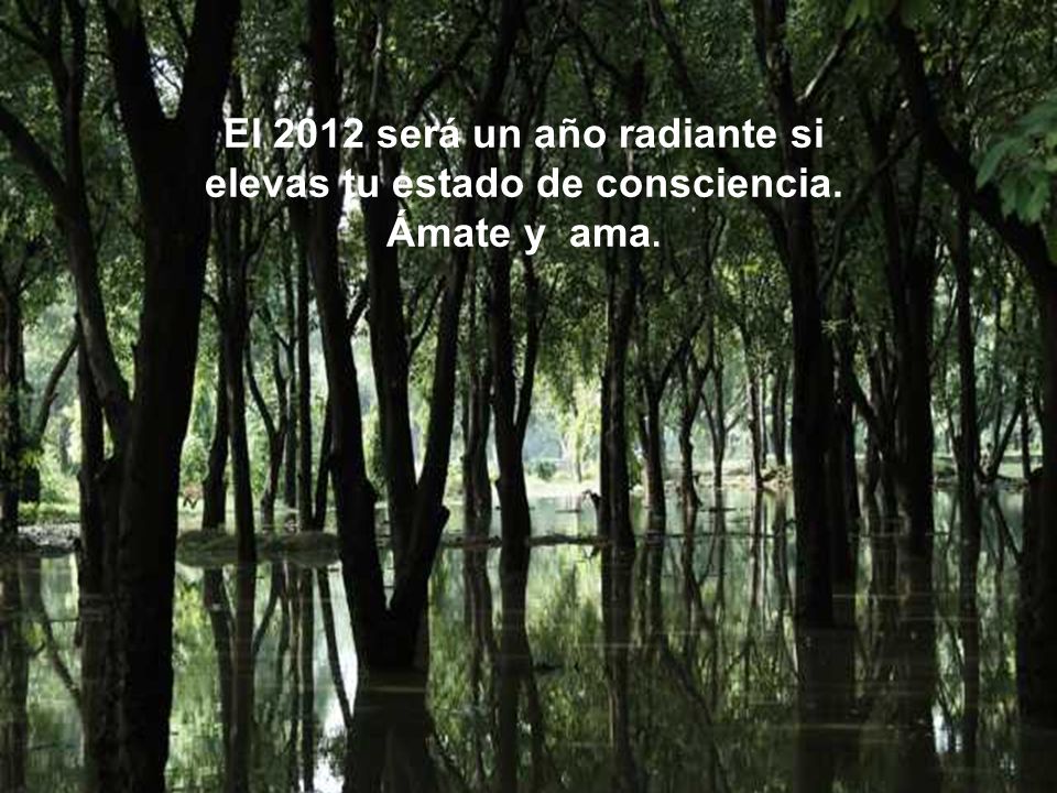 El 2012 será un año radiante si elevas tu estado de consciencia.