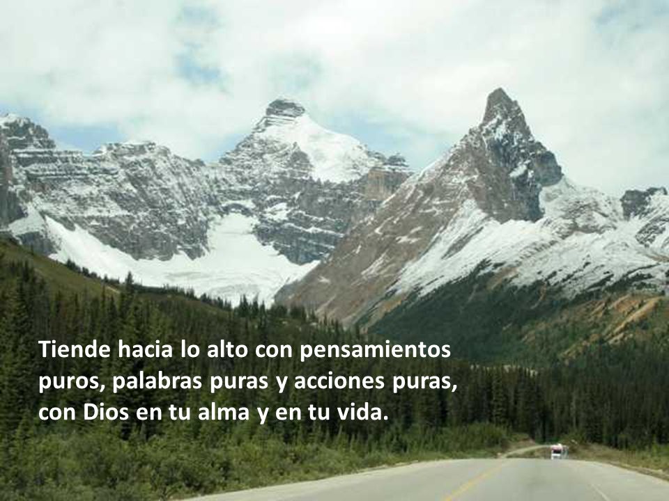Tiende hacia lo alto con pensamientos puros, palabras puras y acciones puras, con Dios en tu alma y en tu vida.