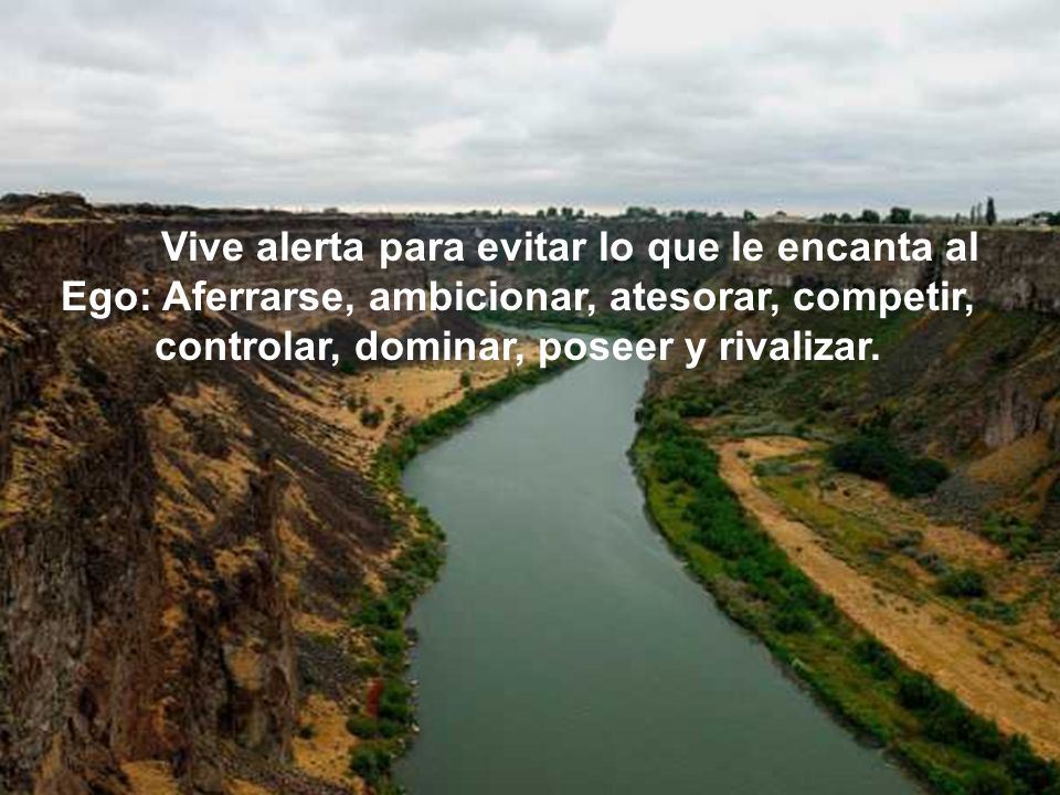 Vive alerta para evitar lo que le encanta al Ego: Aferrarse, ambicionar, atesorar, competir, controlar, dominar, poseer y rivalizar.