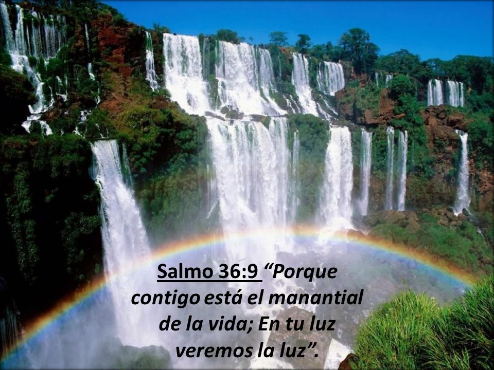 Salmo 36:9 Porque contigo está el manantial de la vida; En tu luz veremos la luz .