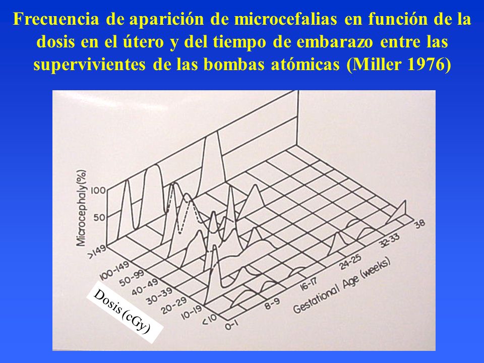 Frecuencia de aparición de microcefalias en función de la dosis en el útero y del tiempo de embarazo entre las supervivientes de las bombas atómicas (Miller 1976)
