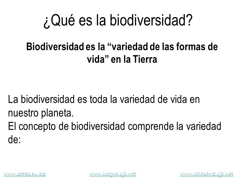 Biodiversidad es la variedad de las formas de vida en la Tierra