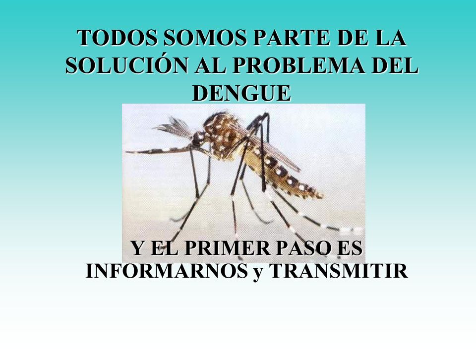 TODOS SOMOS PARTE DE LA SOLUCIÓN AL PROBLEMA DEL DENGUE