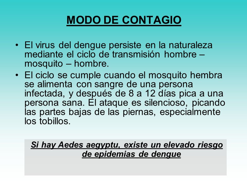 Si hay Aedes aegyptu, existe un elevado riesgo de epidemias de dengue