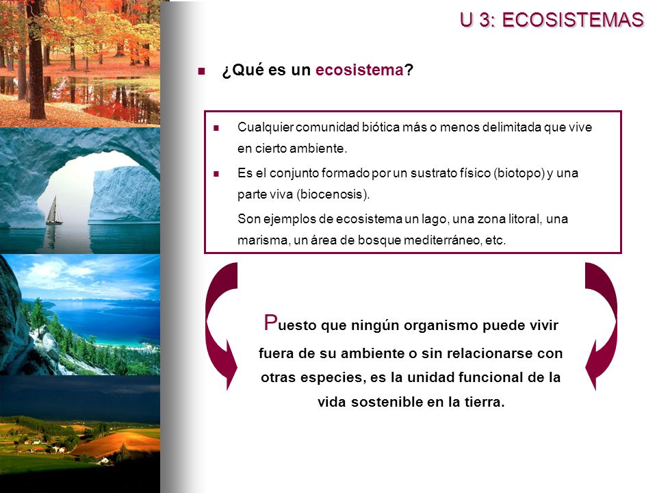 U 3: ECOSISTEMAS ¿Qué es un ecosistema Cualquier comunidad biótica más o menos delimitada que vive en cierto ambiente.