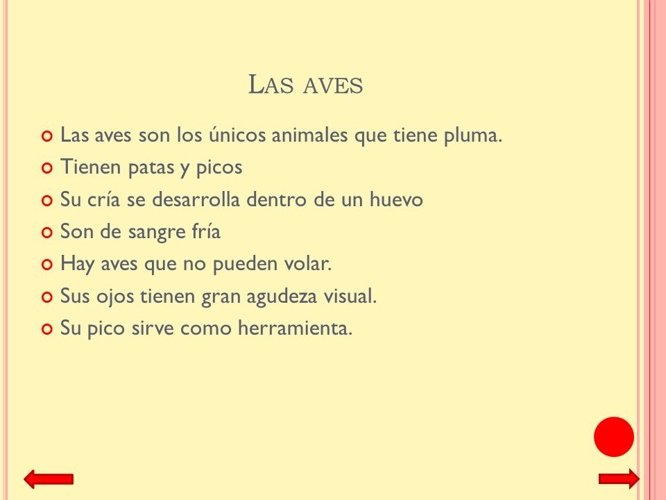 Las aves Las aves son los únicos animales que tiene pluma.