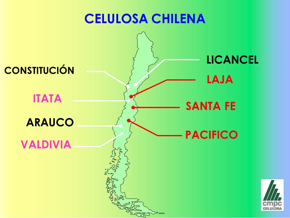 CELULOSA CHILENA LICANCEL LAJA ITATA SANTA FE ARAUCO PACIFICO VALDIVIA