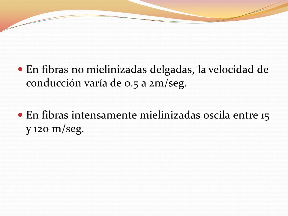 En fibras no mielinizadas delgadas, la velocidad de conducción varía de 0.5 a 2m/seg.