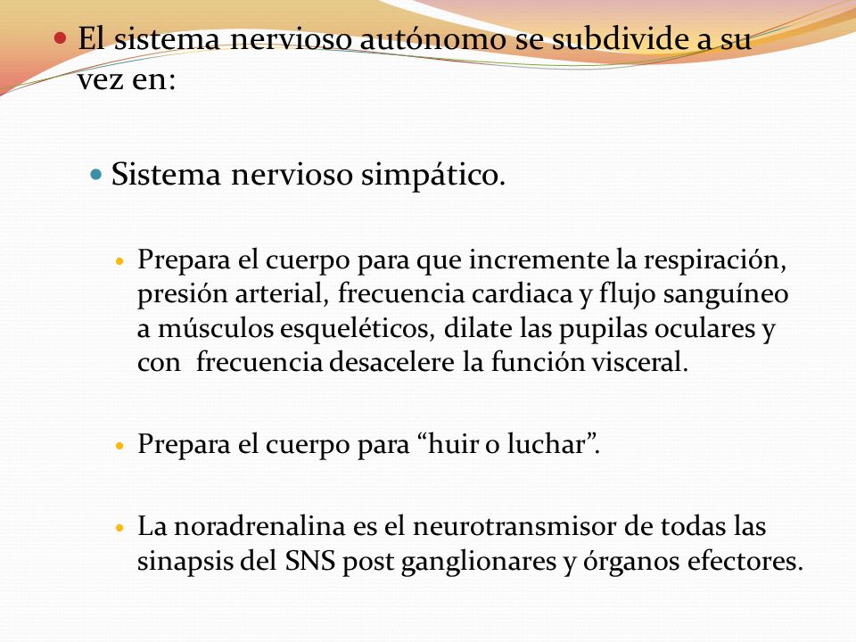 El sistema nervioso autónomo se subdivide a su vez en: