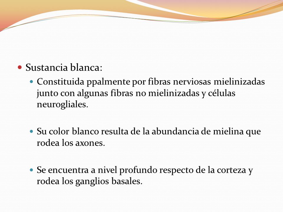 Sustancia blanca: Constituida ppalmente por fibras nerviosas mielinizadas junto con algunas fibras no mielinizadas y células neurogliales.