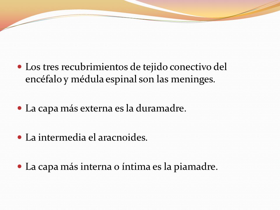 Los tres recubrimientos de tejido conectivo del encéfalo y médula espinal son las meninges.
