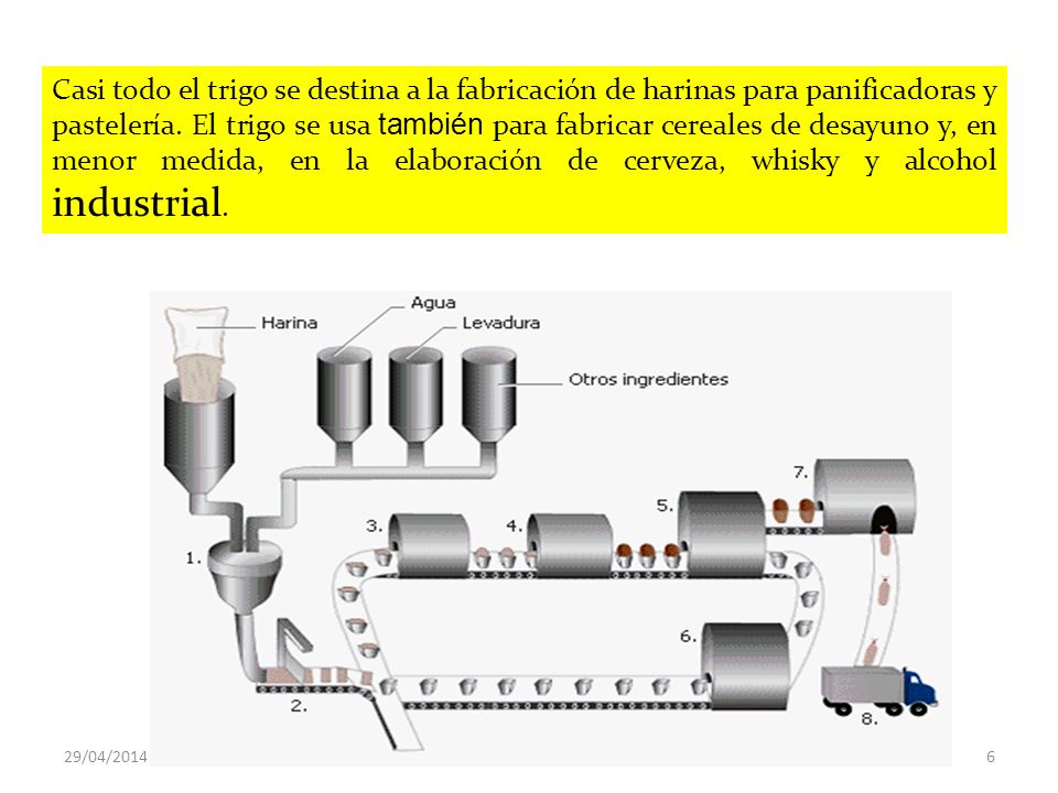 Casi todo el trigo se destina a la fabricación de harinas para panificadoras y pastelería. El trigo se usa también para fabricar cereales de desayuno y, en menor medida, en la elaboración de cerveza, whisky y alcohol industrial.