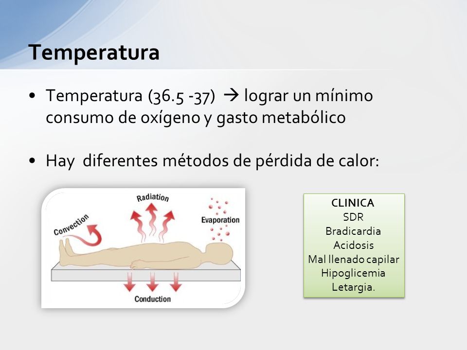 Temperatura Temperatura ( )  lograr un mínimo consumo de oxígeno y gasto metabólico. Hay diferentes métodos de pérdida de calor:
