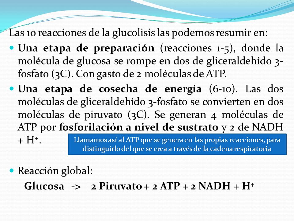 Las 10 reacciones de la glucolisis las podemos resumir en: