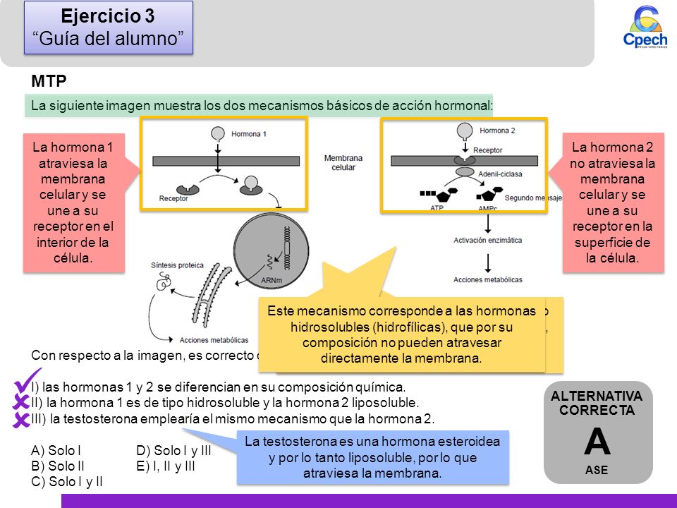    A Ejercicio 3 Guía del alumno MTP