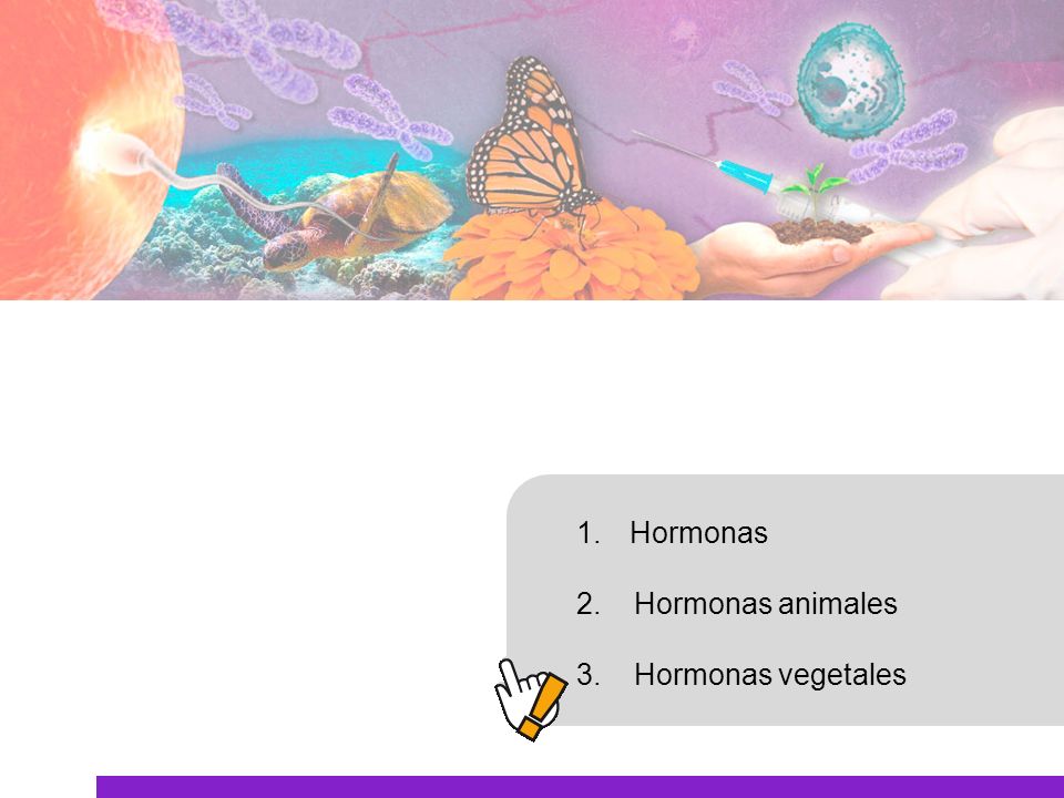 Hormonas 2. Hormonas animales 3. Hormonas vegetales