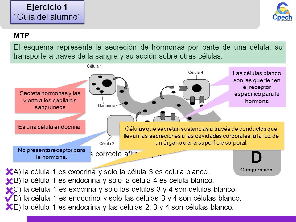  D     Ejercicio 1 Guía del alumno MTP