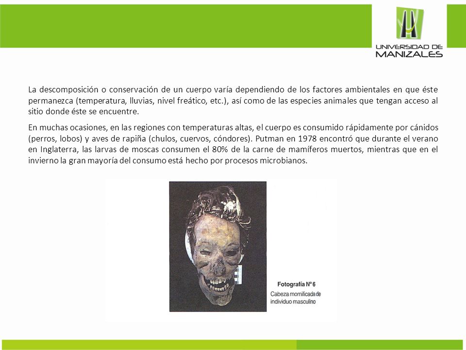 La descomposición o conservación de un cuerpo varía dependiendo de los factores ambientales en que éste permanezca (temperatura, lluvias, nivel freático, etc.), así como de las especies animales que tengan acceso al sitio donde éste se encuentre.