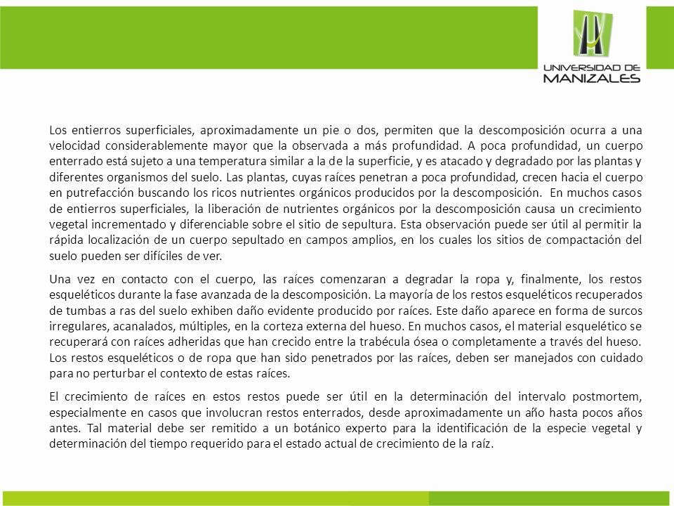 Los entierros superficiales, aproximadamente un pie o dos, permiten que la descomposición ocurra a una velocidad considerablemente mayor que la observada a más profundidad.
