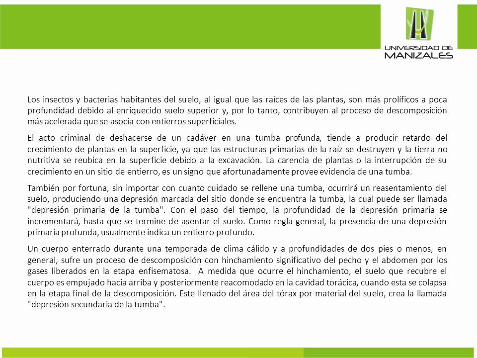 Los insectos y bacterias habitantes del suelo, al igual que las raíces de las plantas, son más prolíficos a poca profundidad debido al enriquecido suelo superior y, por lo tanto, contribuyen al proceso de descomposición más acelerada que se asocia con entierros superficiales.