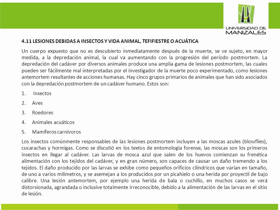 4.11 LESIONES DEBIDAS A INSECTOS Y VIDA ANIMAL, TEFIFIESTRE O ACUÁTICA
